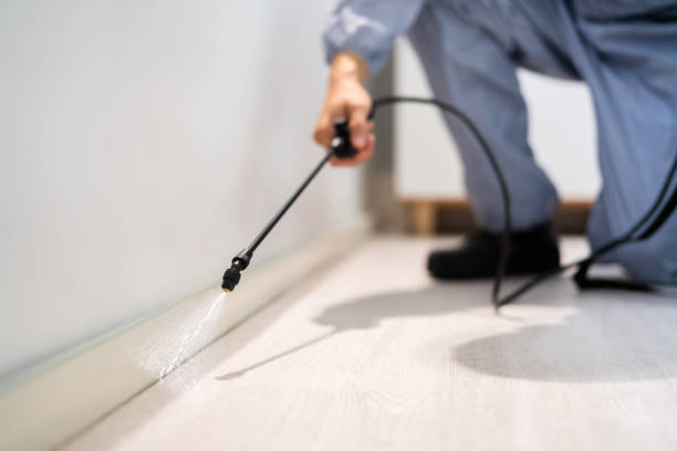 Licensed Termite Control service in Lafayette County County, MS - Nex Pest Control